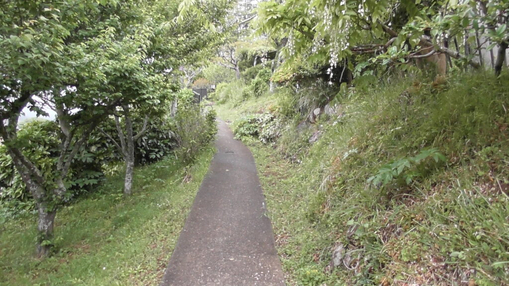 修善寺　芙蓉への道