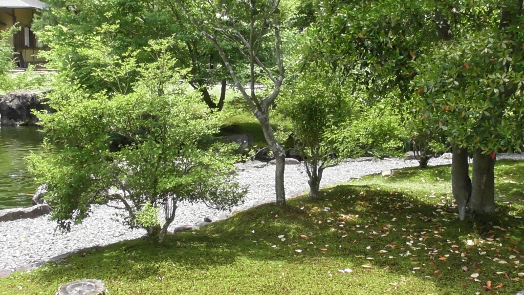 玉露の里　庭園