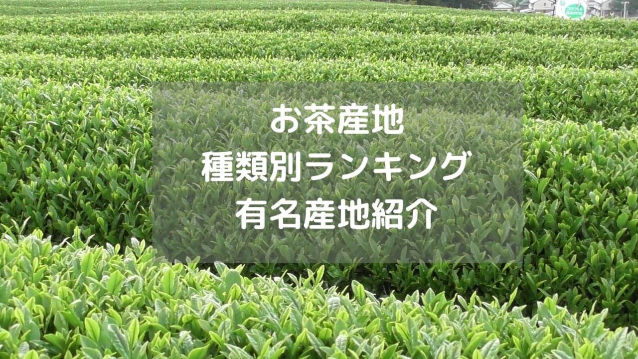 お茶産地 種類別ランキング 有名産地紹介