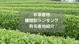 お茶産地 種類別ランキング 有名産地紹介