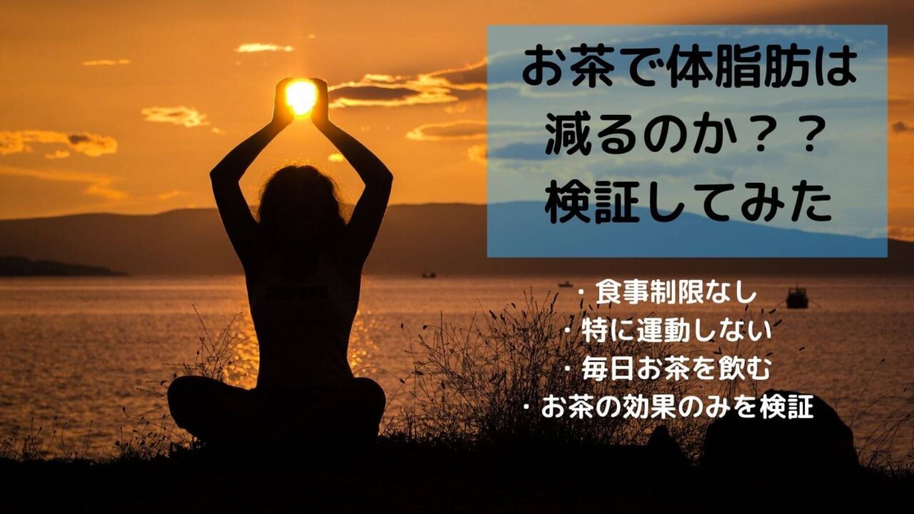 お茶で体脂肪は 減るのか？？ 検証してみた